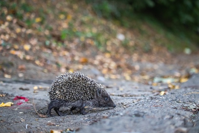 至关重要 至关重要