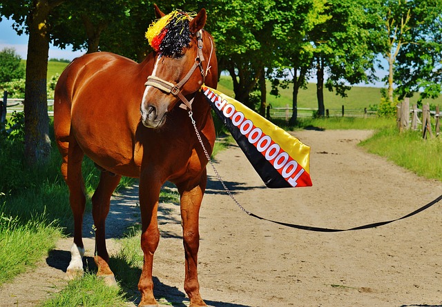 事件并不是 事件并不是