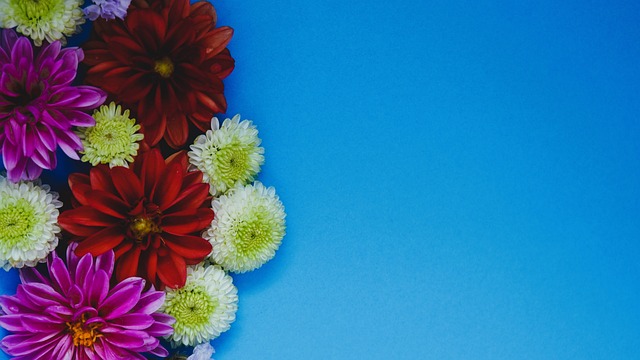 始就一直充 始就一直充