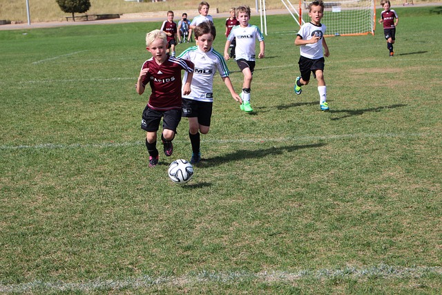 赛前准备 赛前准备