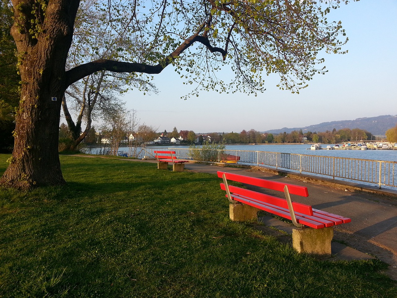 这位年轻球 这位年轻球