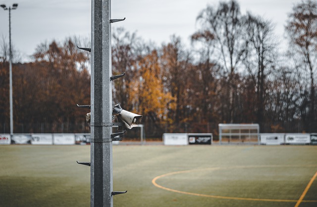 变的策略 变的策略