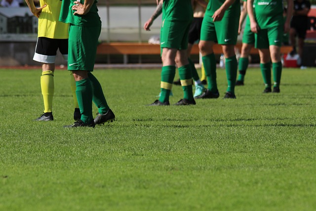 道精准判断 道精准判断