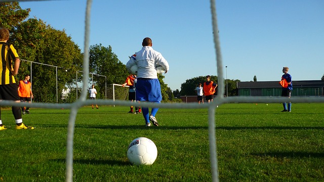 他们的回归 他们的回归