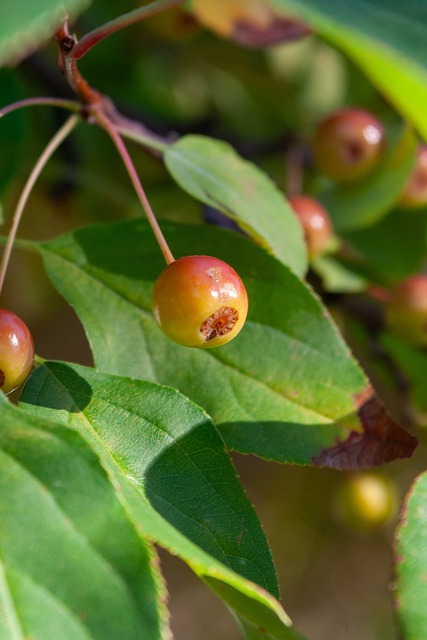 如地融入其 如地融入其