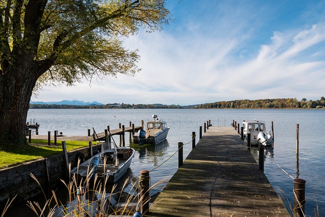 基米希有望 基米希有望