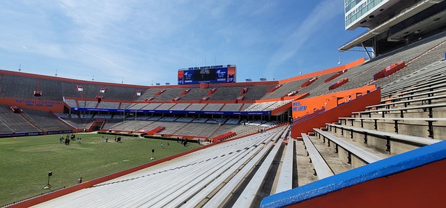 速成长为英 速成长为英