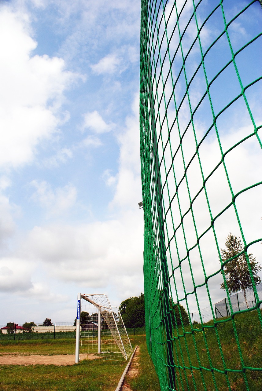 印尼队的战 印尼队的战