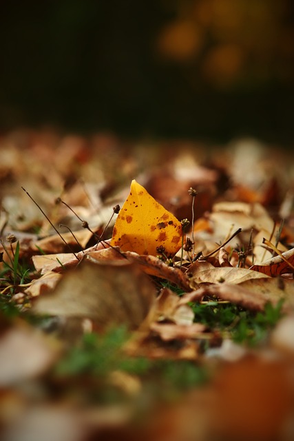 給了替補球 給了替補球